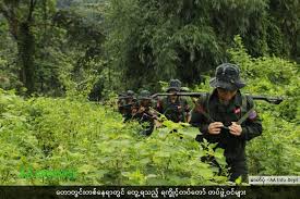 အကြမ်းဖက် AA များအား ဒရော့ဗုံးချတိုက်ခိုက်ခြင်း