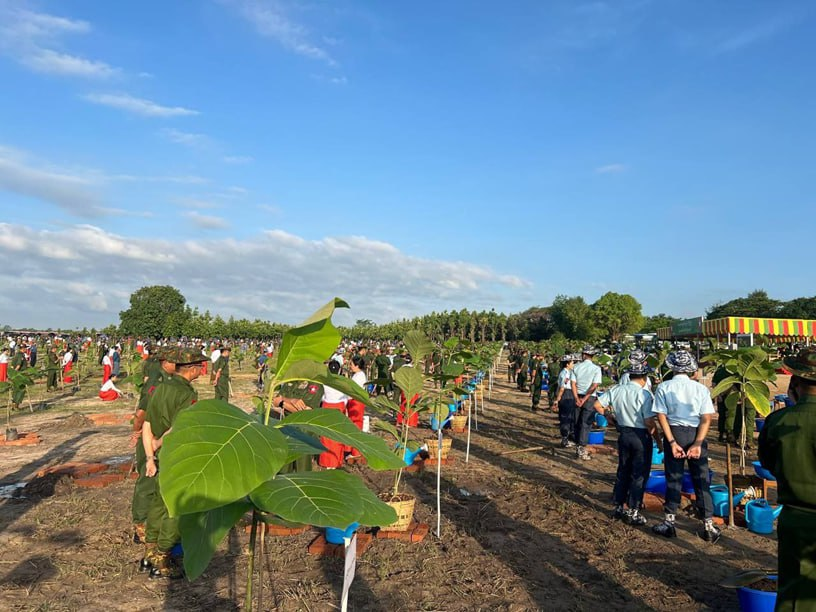 မြေဆီစိုခိုက် သစ်ပင်စိုက်ကြစို့